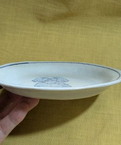 Alternative view of 16cm皿　アメリカンコッカ