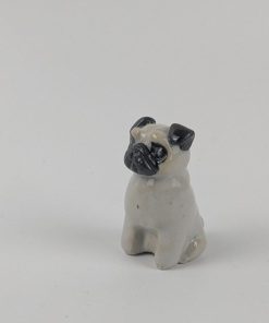 豆犬　パグ