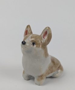 豆犬　コーギー