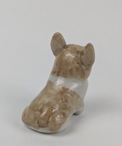 豆犬　コーギー - 画像 (3)