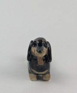 Alternative view of 豆犬　ダックス