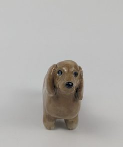 豆犬　ダックス茶