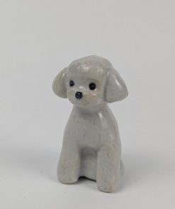 豆犬　トイプードル白