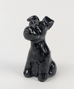 豆犬　黒シュナウザー