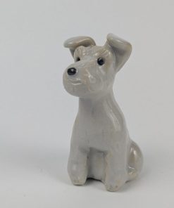豆犬　白シュナウザー