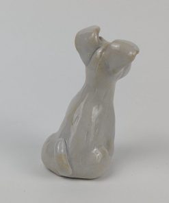 豆犬　白シュナウザー - 画像 (3)