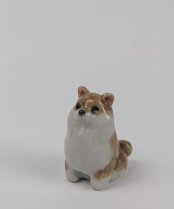 豆犬　ポメラニアン
