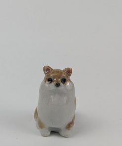 Alternative view of 豆犬　ポメラニアン