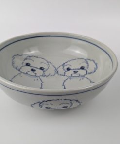 18cm鉢　マルチーズ