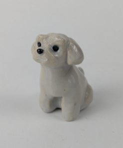 豆犬　マルチーズ